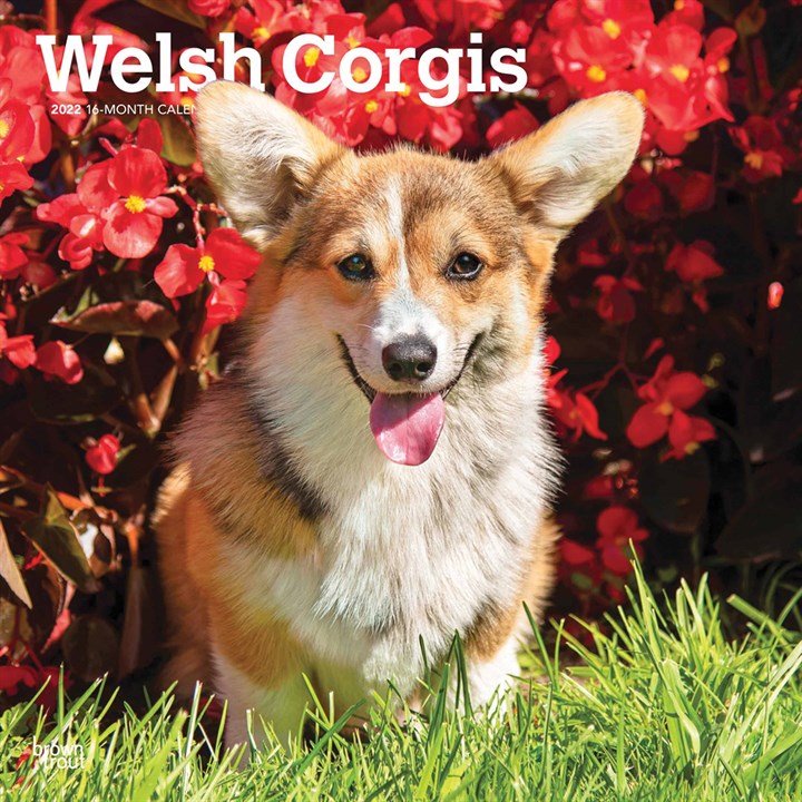 Welsh Corgis Calendar 2022