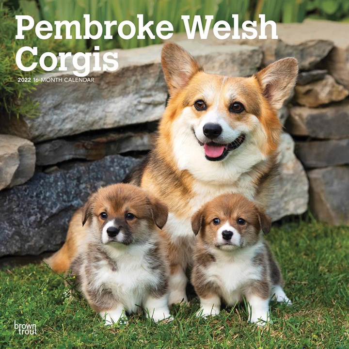 Pembroke Welsh Corgis Calendar 2022