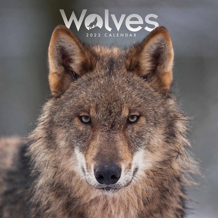 Wolves Mini Calendar 2022