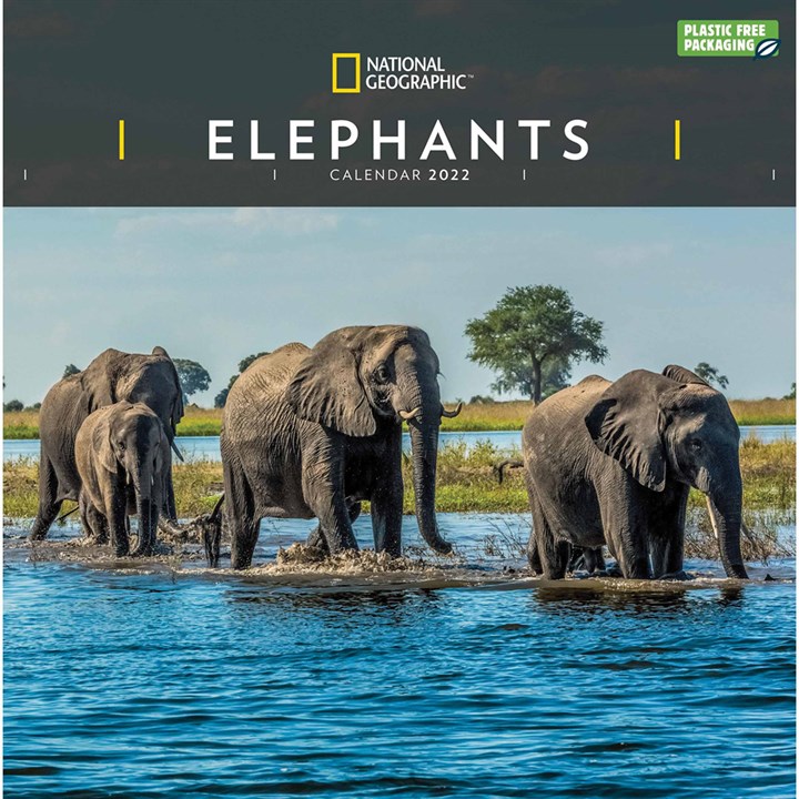National Geographic, Elephants Calendar 2022
