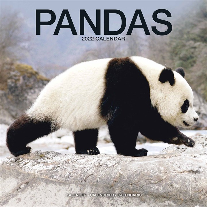 Pandas Calendar 2022