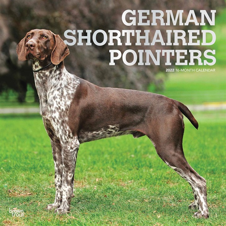 German Shorthaired Pointers International Calendar 2022
