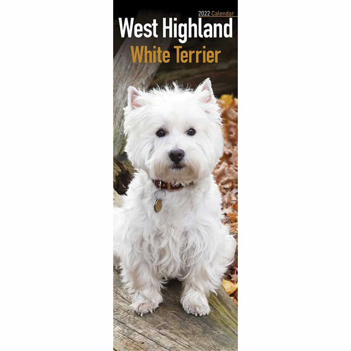 West Highland White Terrier Slim Calendar 2022