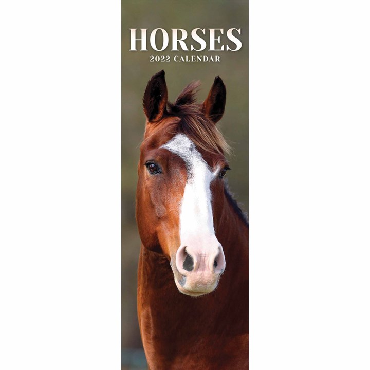 Horses Slim Calendar 2022