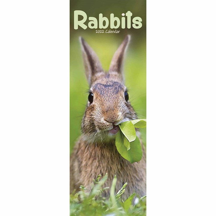 Rabbits Slim Calendar 2022