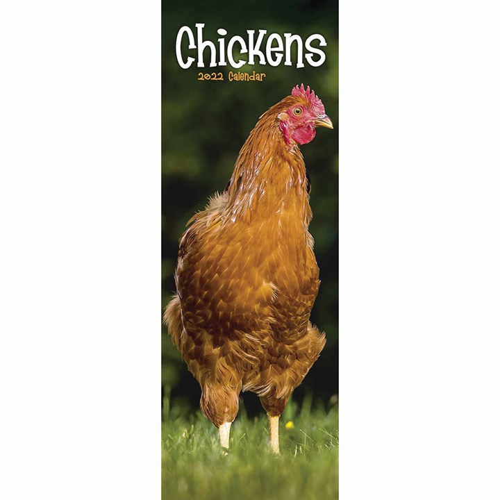Chickens Slim Calendar 2022
