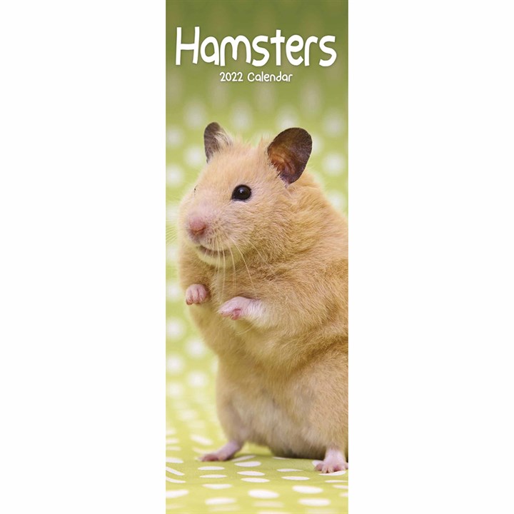 Hamsters Slim Calendar 2022