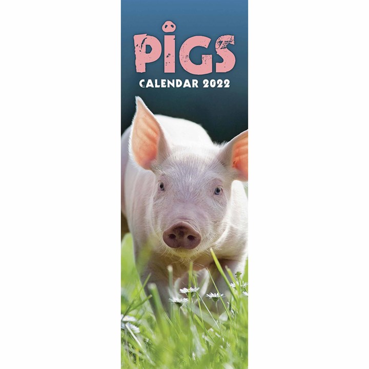 Pigs Slim Calendar 2022