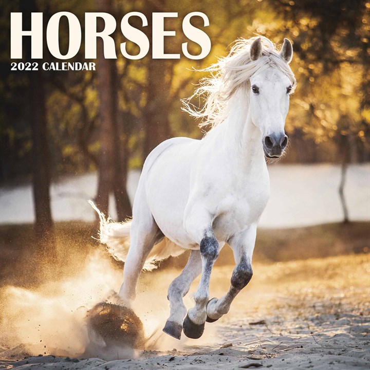 Horses Mini Calendar 2022