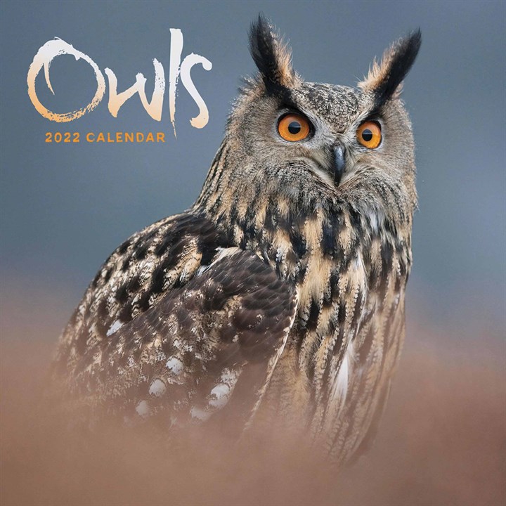 Owls Mini Calendar 2022