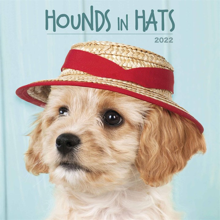 Hounds In Hats Calendar 2022