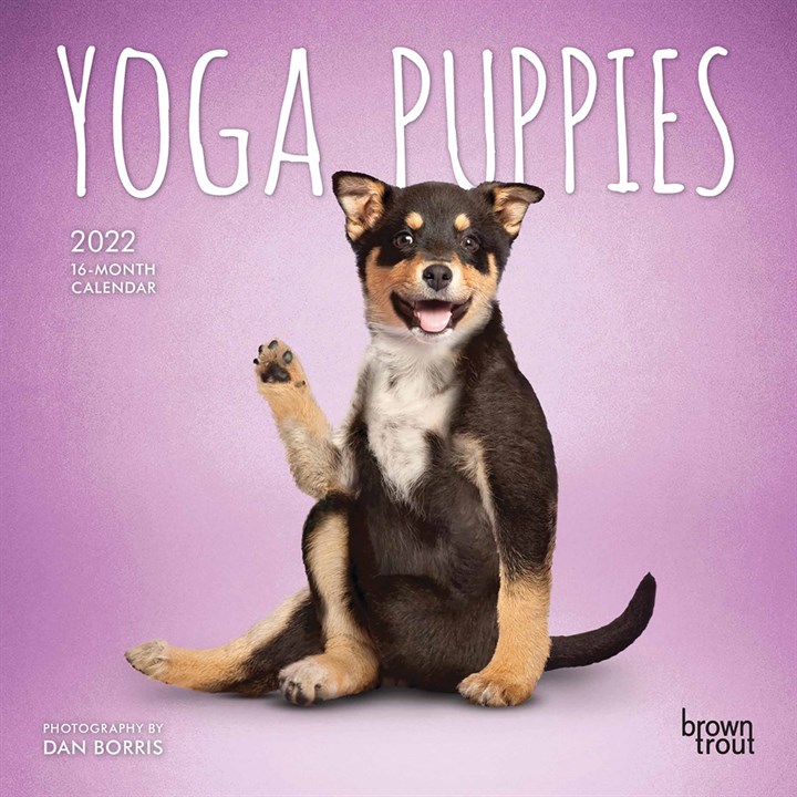 Yoga Puppies Mini Calendar 2022