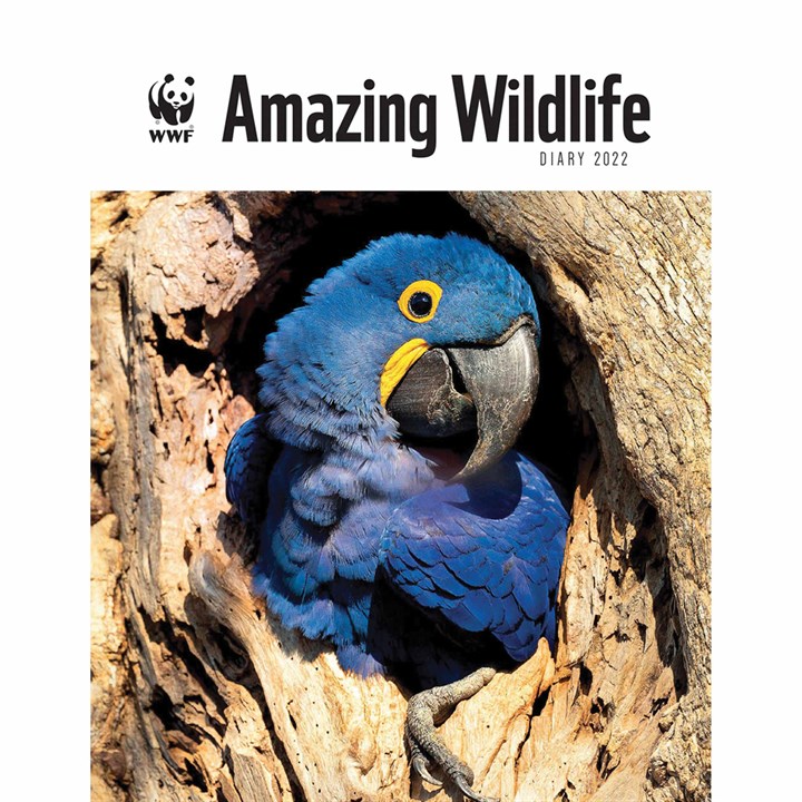WWF, Amazing Wildlife A5 Deluxe Diary 2022
