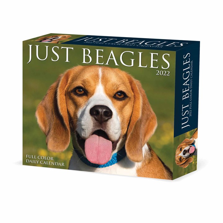 Just Beagles Desk Calendar 2022