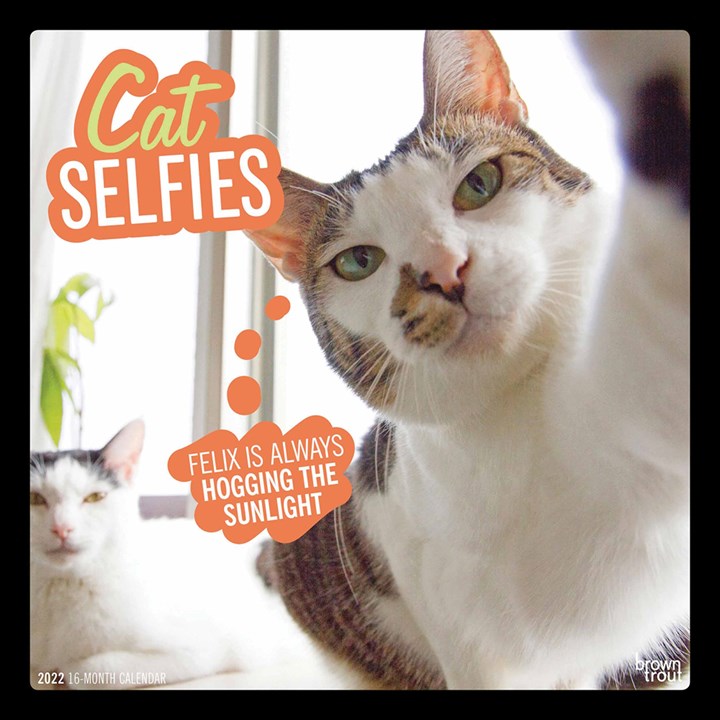 Cat Selfies Calendar 2022
