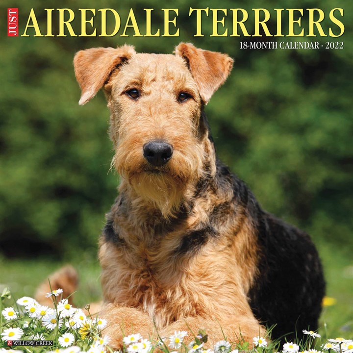 Just Airedale Terriers Calendar 2022