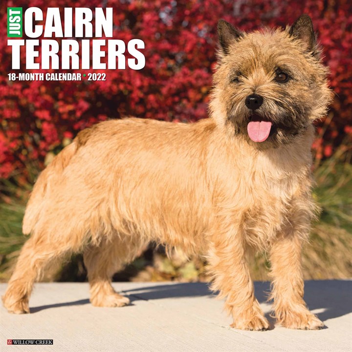 Just Cairn Terriers Calendar 2022