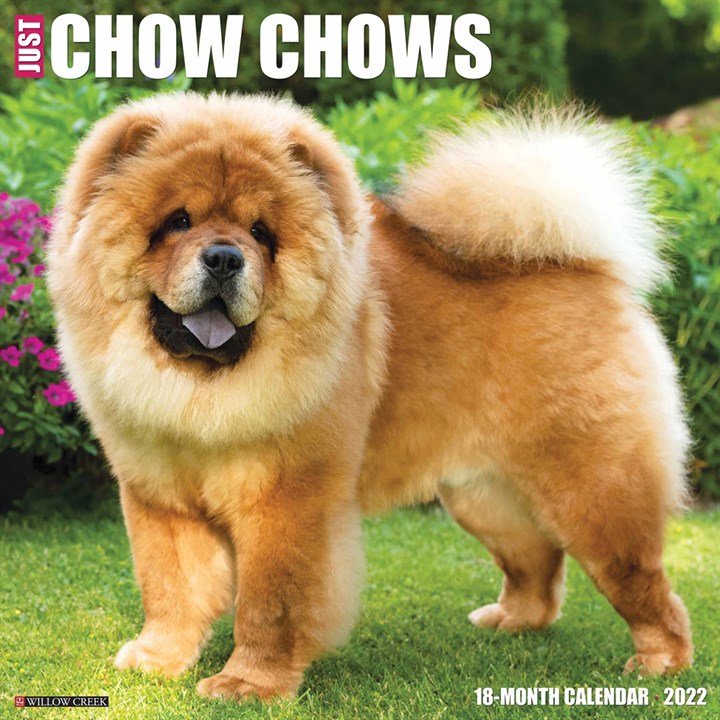 Just Chow Chows Calendar 2022