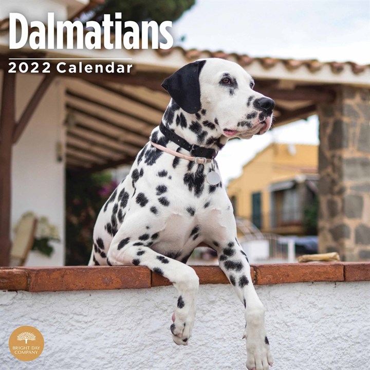 Just Dalmatians Calendar 2022