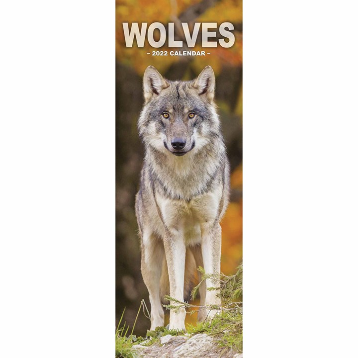 Wolves Slim Calendar 2022