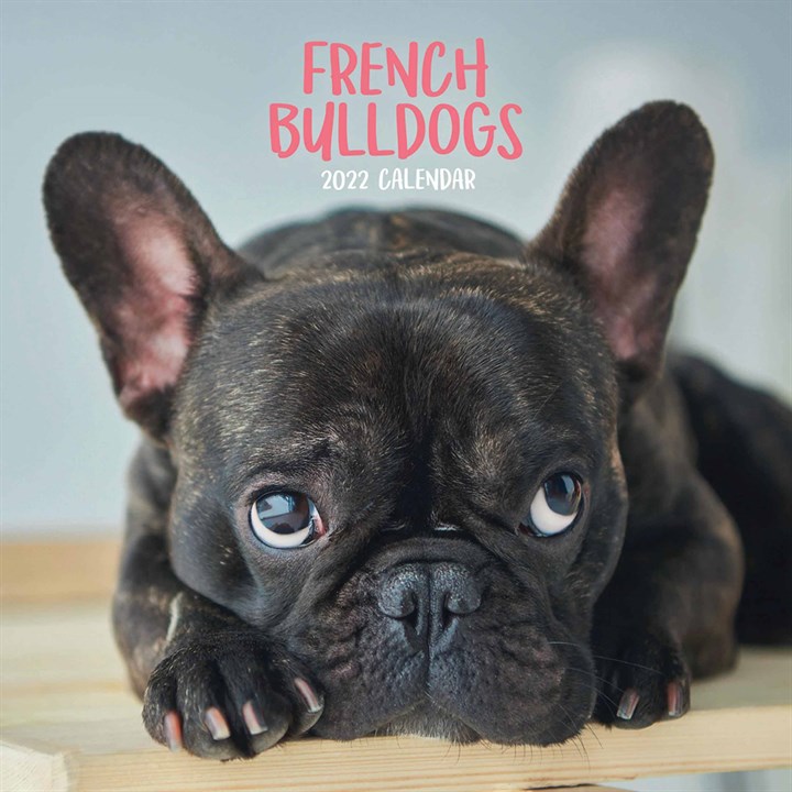 French Bulldogs Mini Calendar 2022