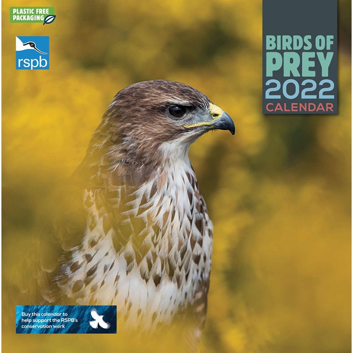 RSPB, Birds Of Prey Calendar 2022