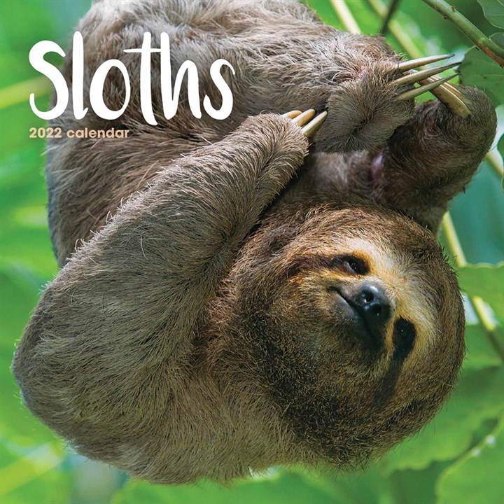 Sloths Mini Calendar 2022