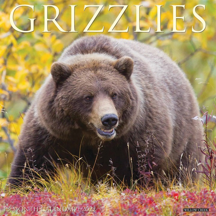 Grizzlies Calendar 2022
