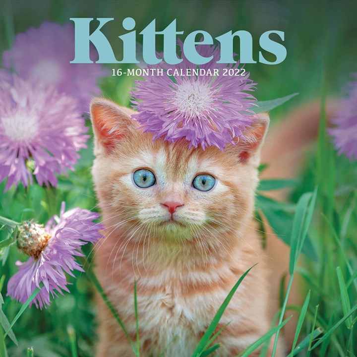 Kittens Mini Calendar 2022