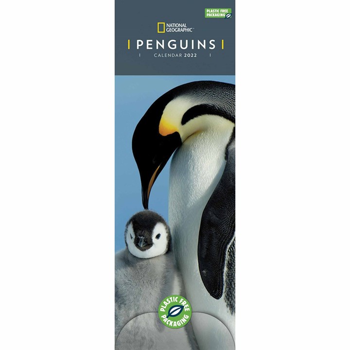 National Geographic, Penguins Slim Calendar 2022