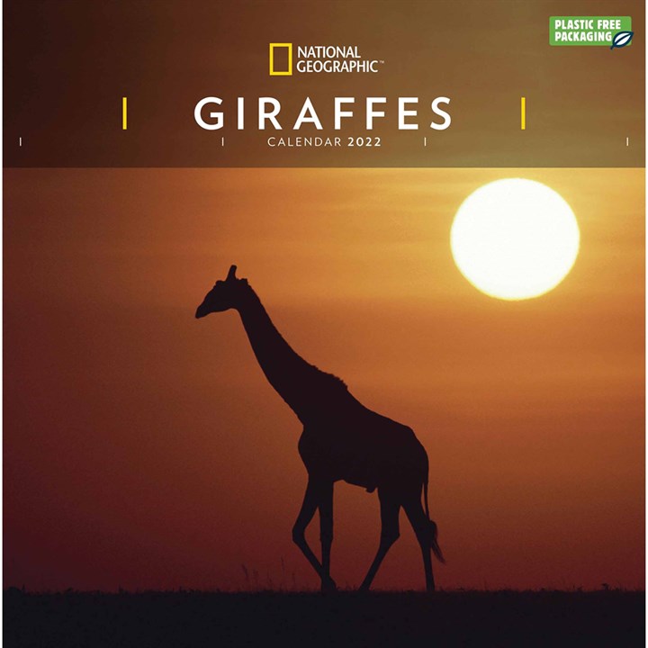 National Geographic, Giraffes Calendar 2022