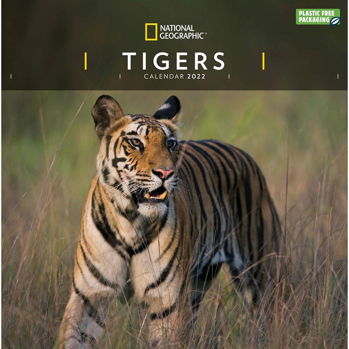 National Geographic, Tigers Calendar 2022