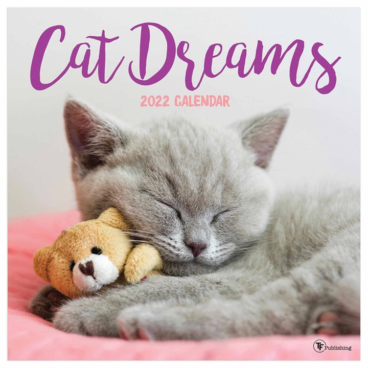 Cat Dreams Calendar 2022
