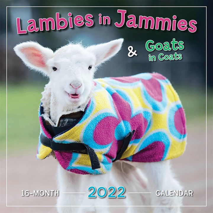Lambies In Jammies Calendar 2022