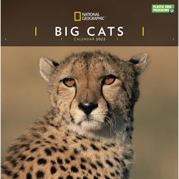 National Geographic, Big Cats Calendar 2022