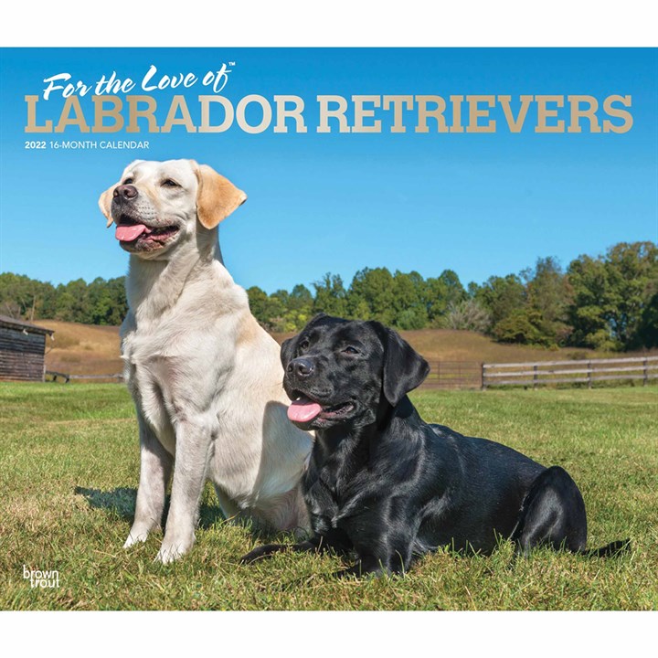 For The Love Of Labrador Retrievers Deluxe Calendar 2022