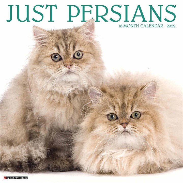 Just Persian Cats 2022