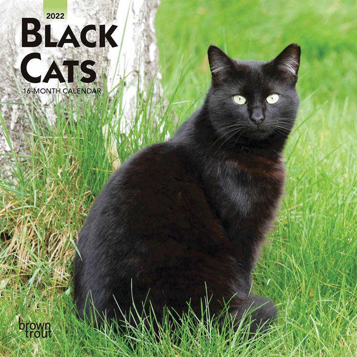 Just Black Cats Mini Calendar 2022