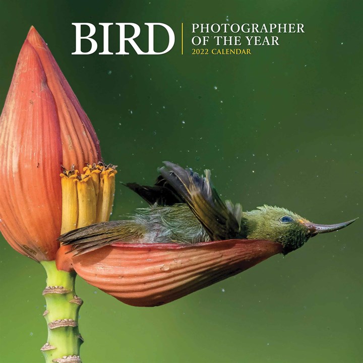 Bird Photographer Of The Year Calendar 2022