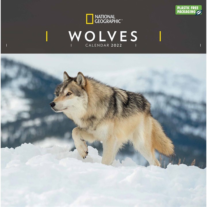 National Geographic, Wolves Calendar 2022