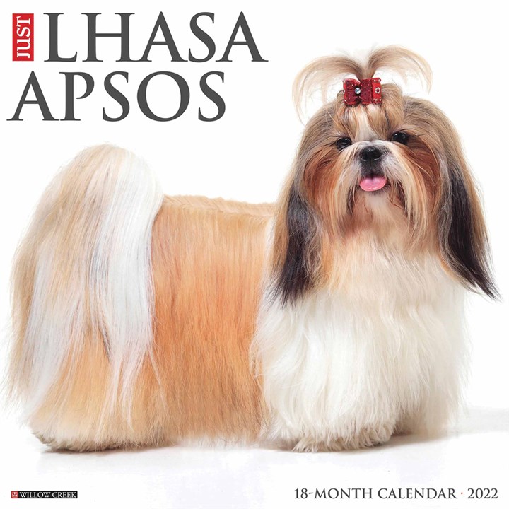 Just Lhasa Apsos Calendar 2022
