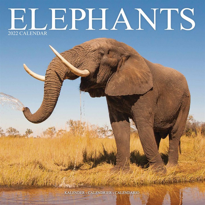 Elephants Calendar 2022