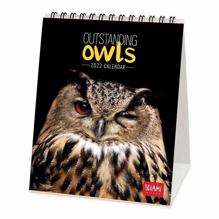 Outstanding Owls Easel Desk Calendar 2022
