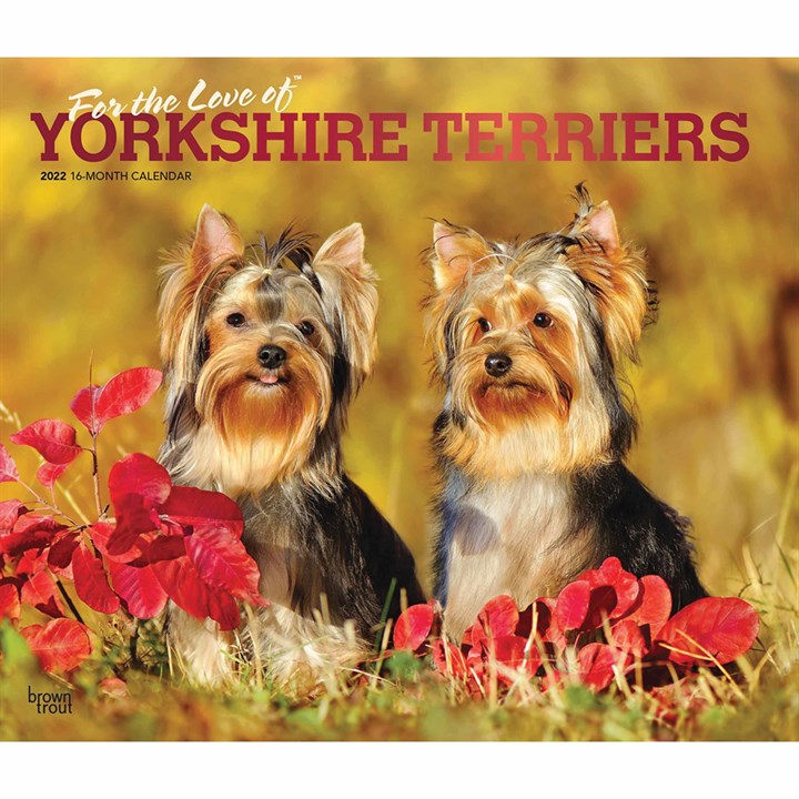 For The Love Of Yorkshire Terriers Deluxe Calendar 2022