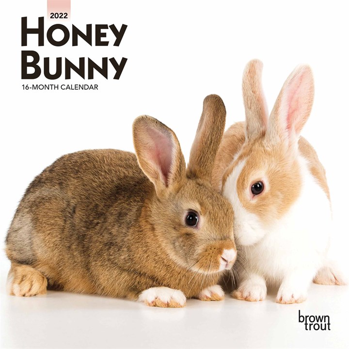 Honey Bunny Mini Calendar 2022