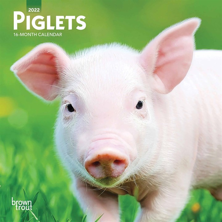 Piglets Mini Calendar 2022