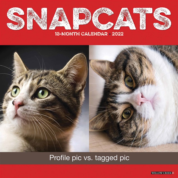 Snapcats Calendar 2022