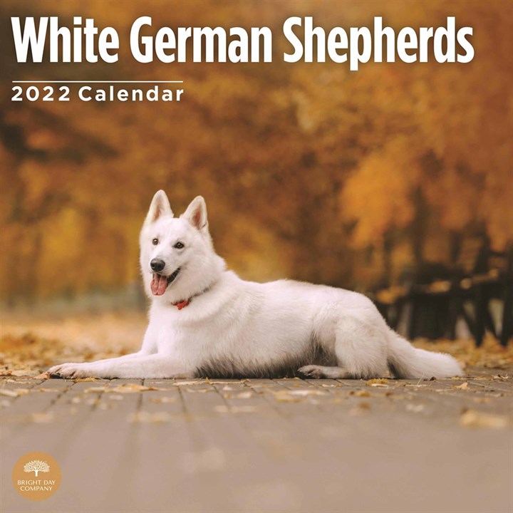 White German Shepherds Calendar 2022