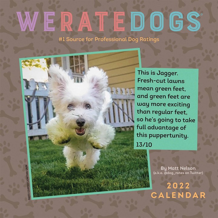 We Rate Dogs Mini Calendar 2022