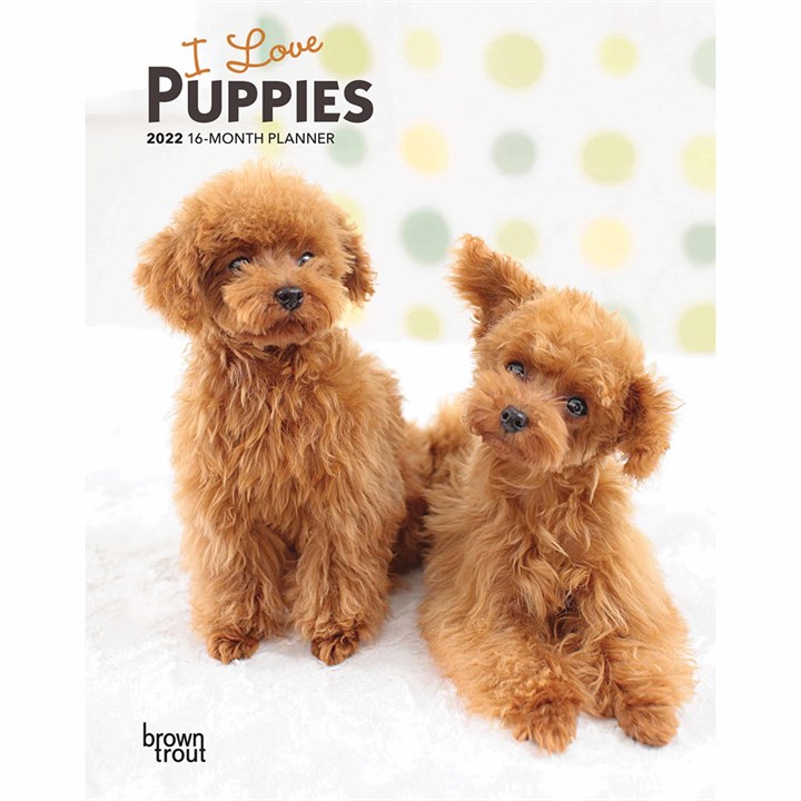 I Love Puppies A5 Diary 2022